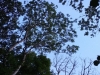 detail from video installation